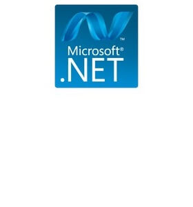 Net Framework 4.0.30319